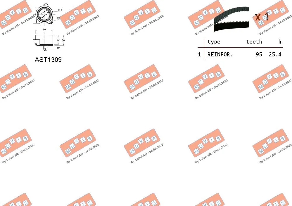 Timing Belt Kit