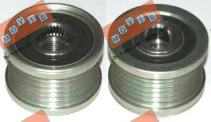 Alternator Freewheel Clutch (AST2976)