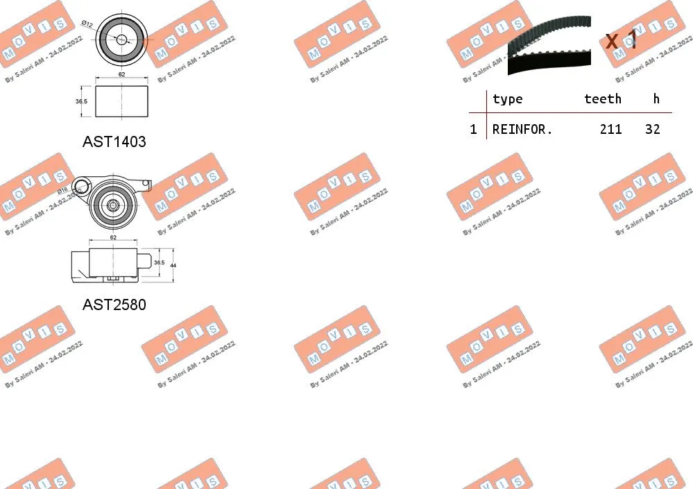Timing Belt Kit