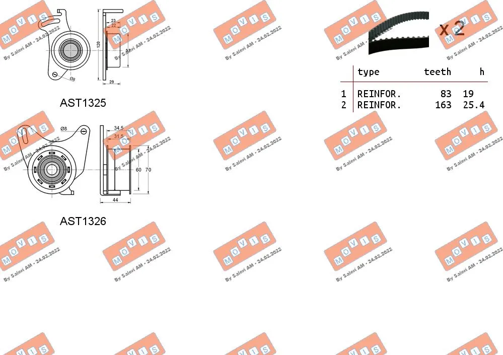 Timing Belt Kit