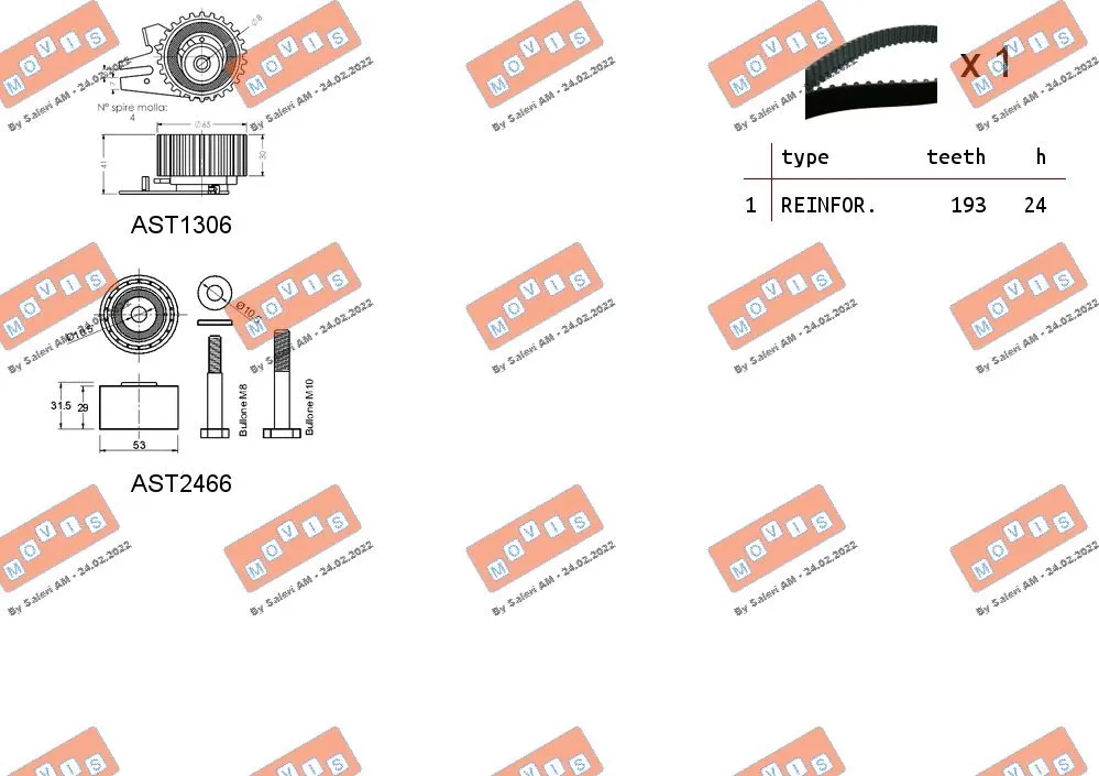 Timing Belt Kit