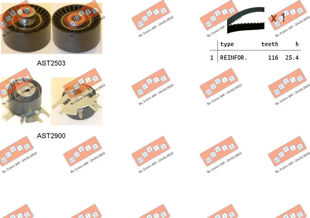 Timing Belt Kit (ASTK1087)