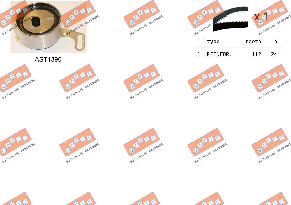 Timing Belt Kit (ASTK1213)