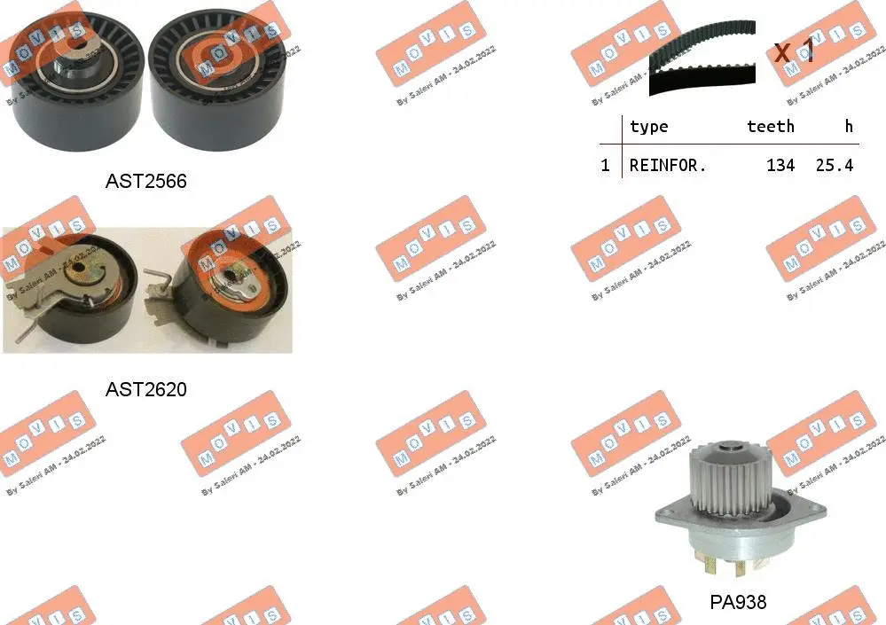 Water Pump & Timing Belt Kit (ASTK1079PA)