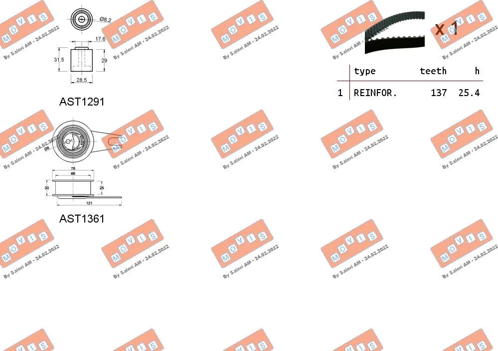 Timing Belt Kit