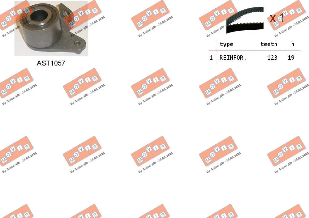 Timing Belt Kit (ASTK1010)