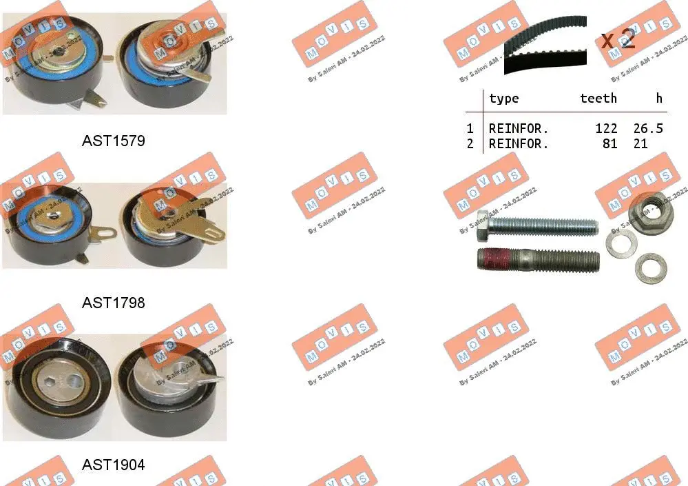 Timing Belt Kit (ASTK1175)