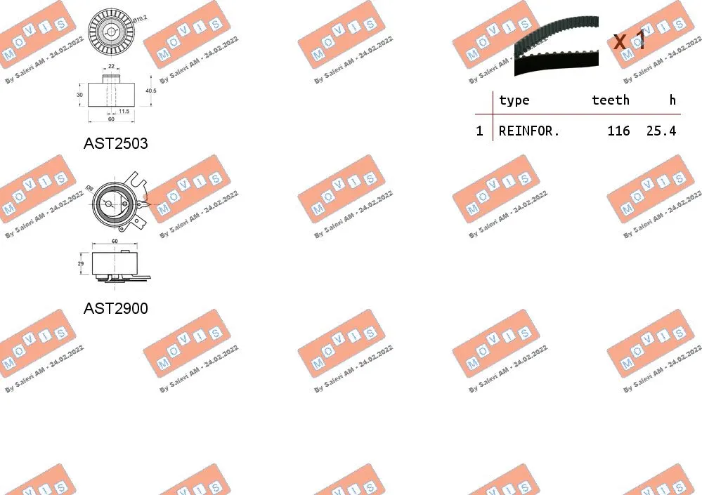 Timing Belt Kit