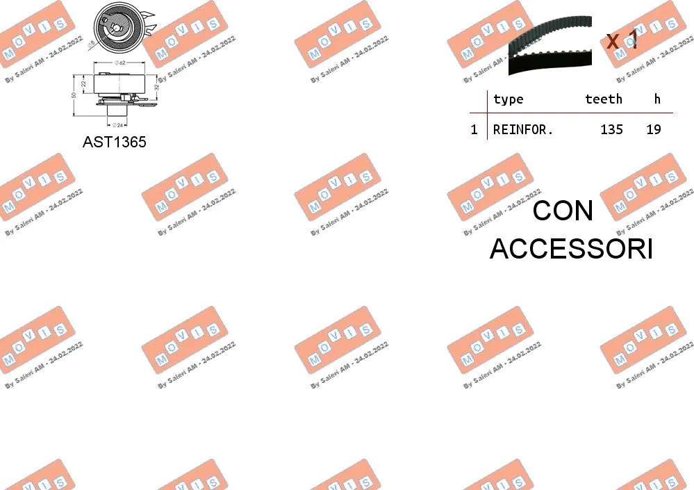 Timing Belt Kit