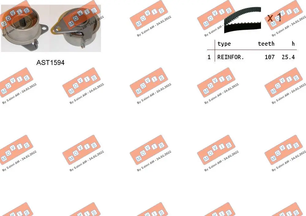 Timing Belt Kit (ASTK1244)