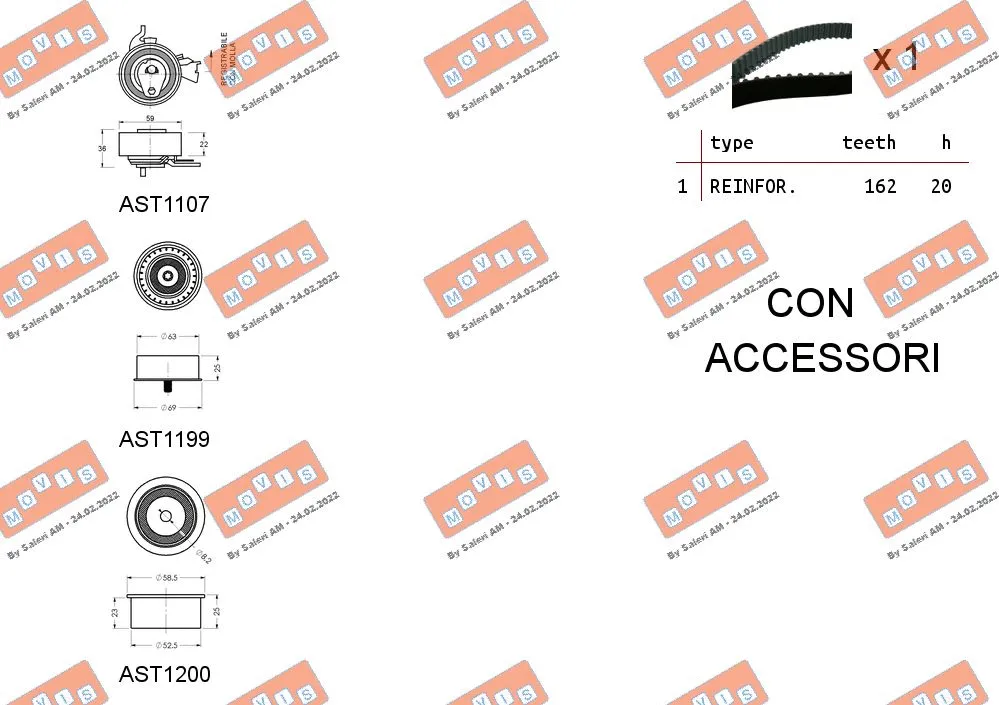 Timing Belt Kit