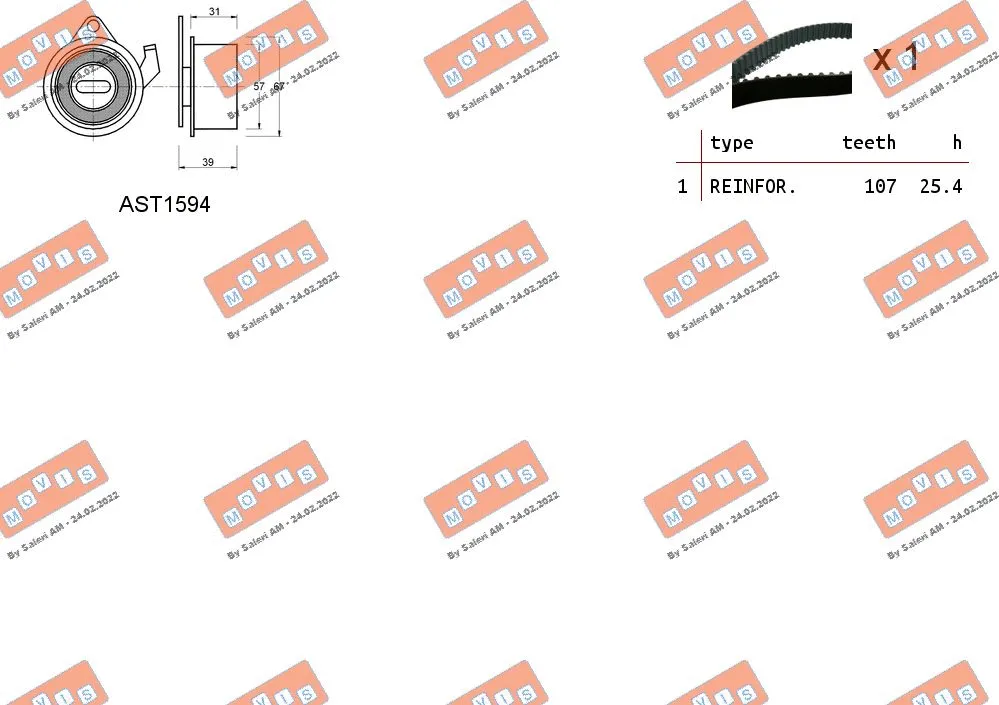Timing Belt Kit
