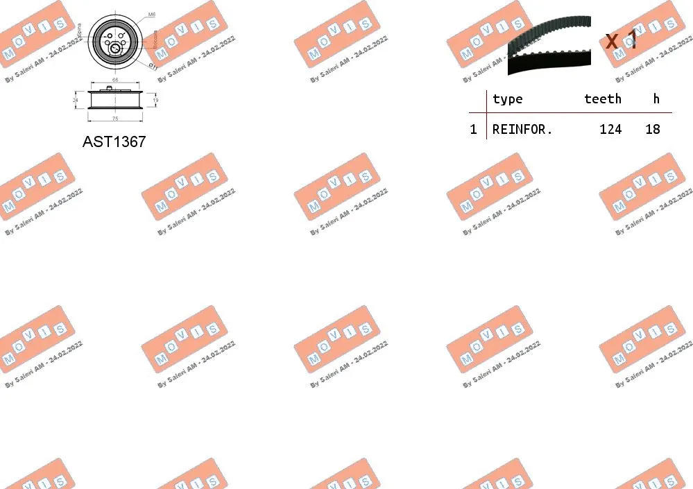 Timing Belt Kit