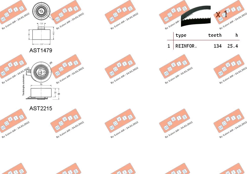 Timing Belt Kit