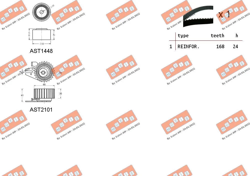 Timing Belt Kit