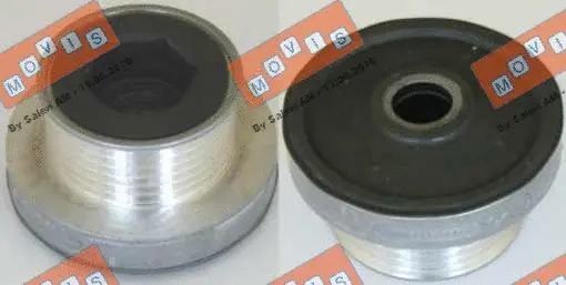 Alternator Freewheel Clutch (AST2720)