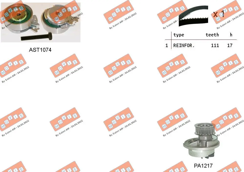 Water Pump & Timing Belt Kit (ASTK0813PA2)