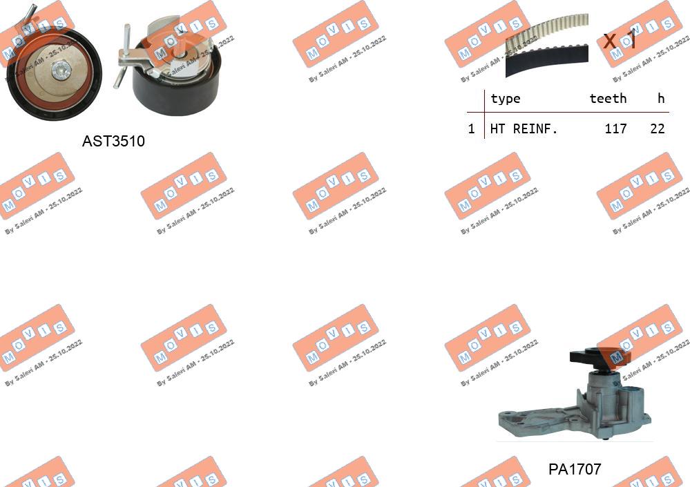 Water Pump & Timing Belt Kit (ASTK1164PA2)