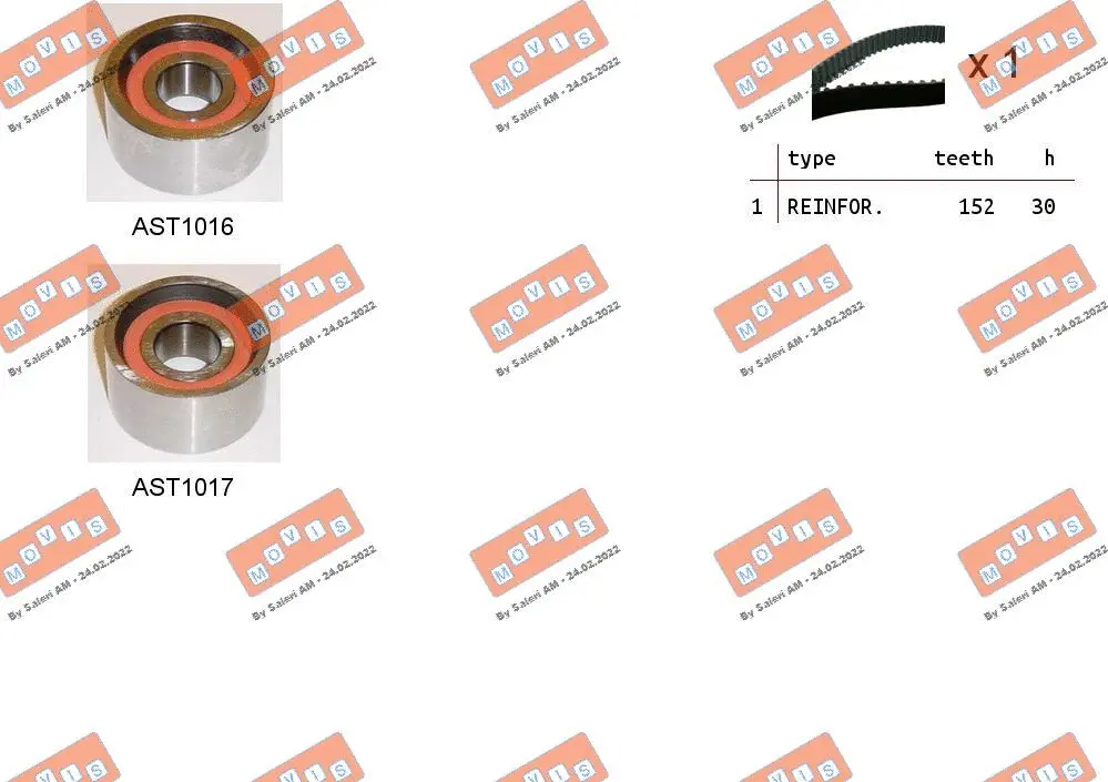Timing Belt Kit (ASTK0831)