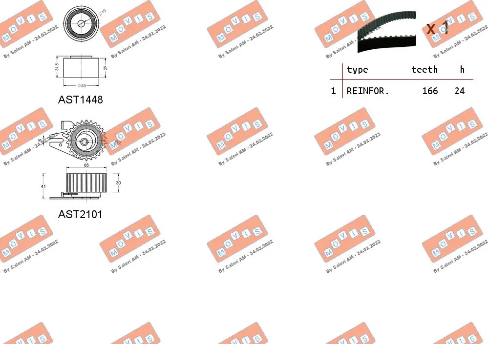 Timing Belt Kit