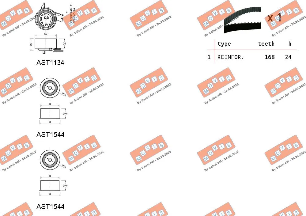 Timing Belt Kit