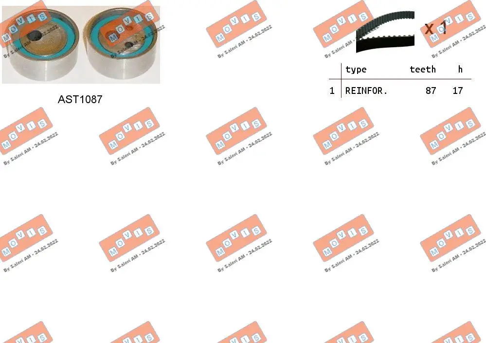 Timing Belt Kit (ASTK0818)
