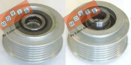 Alternator Freewheel Clutch (AST3169)