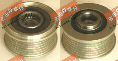 Alternator Freewheel Clutch (AST3108)