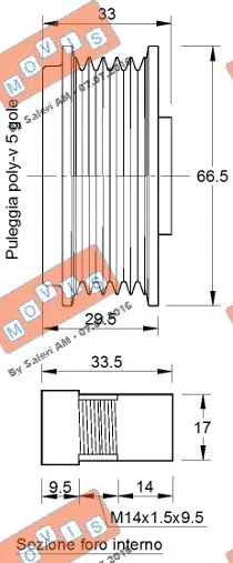 Alternator Freewheel Clutch