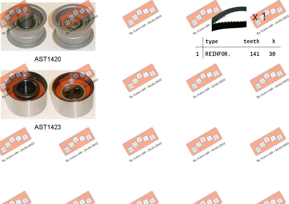 Timing Belt Kit (ASTK0892)