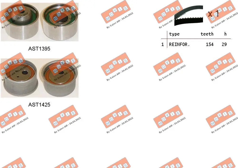Timing Belt Kit (ASTK1248)