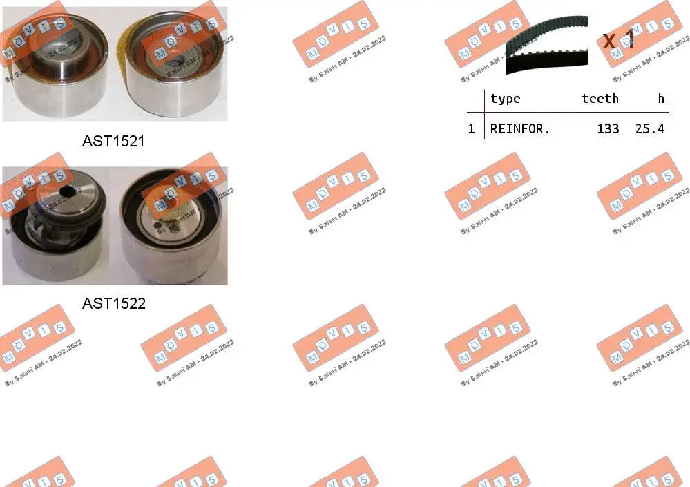 Timing Belt Kit (ASTK1191)