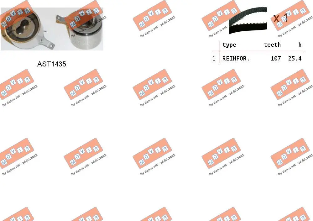 Timing Belt Kit (ASTK0904)