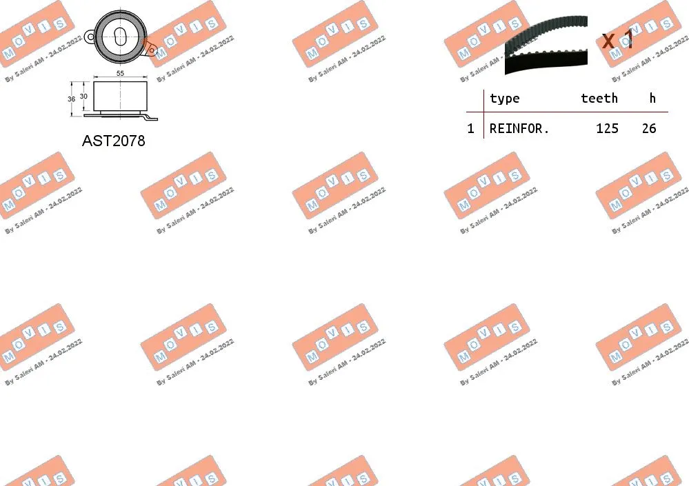 Timing Belt Kit