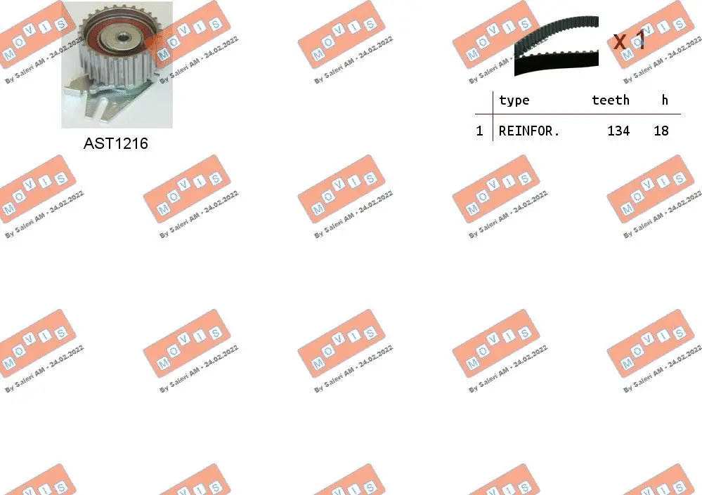 Timing Belt Kit (ASTK0903)