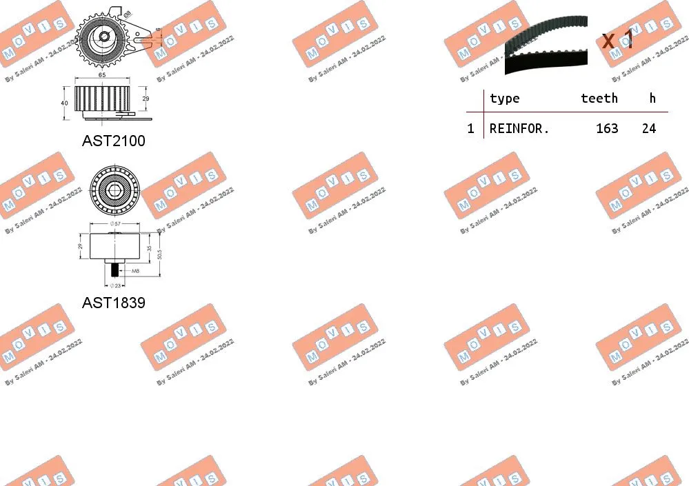 Timing Belt Kit
