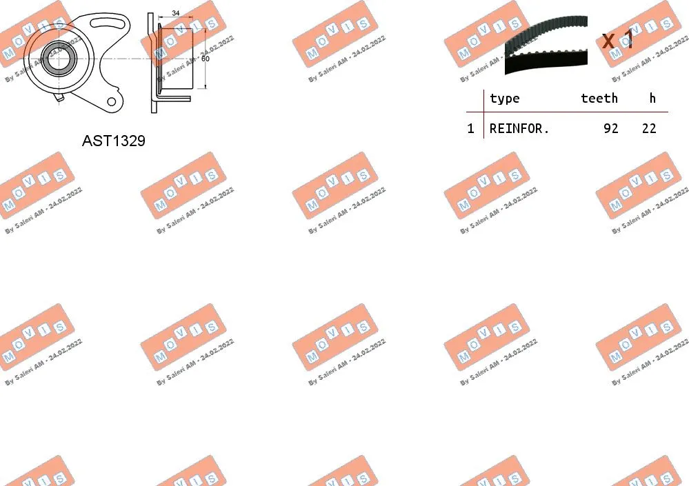 Timing Belt Kit