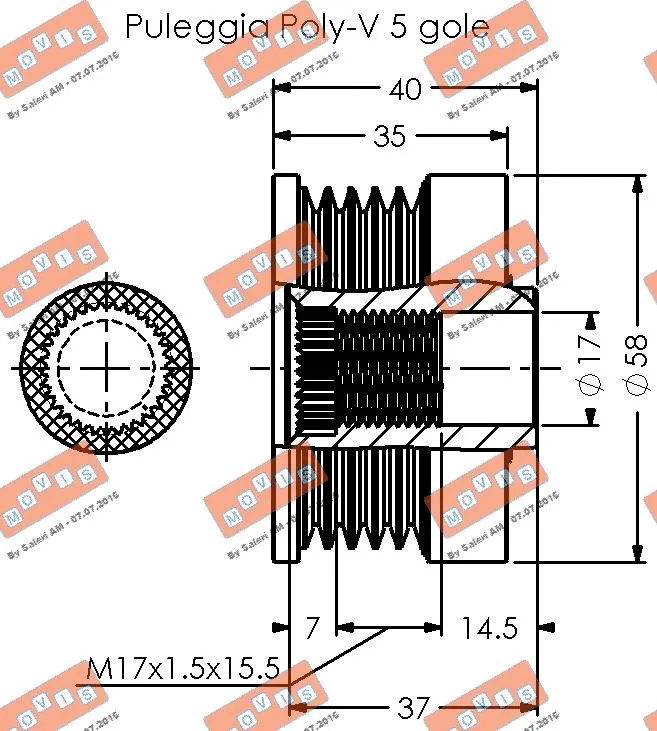 Alternator Freewheel Clutch