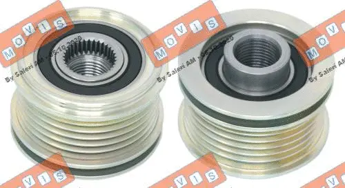 Alternator Freewheel Clutch (AST3906)