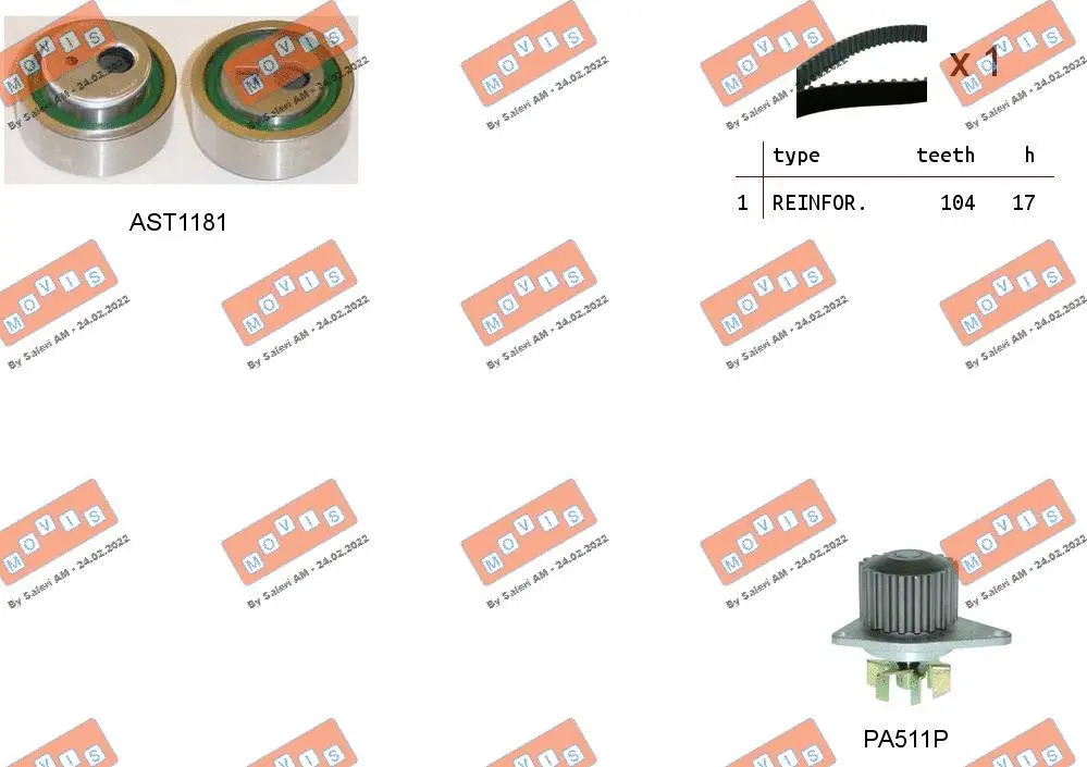 Water Pump & Timing Belt Kit (ASTK1119PA)