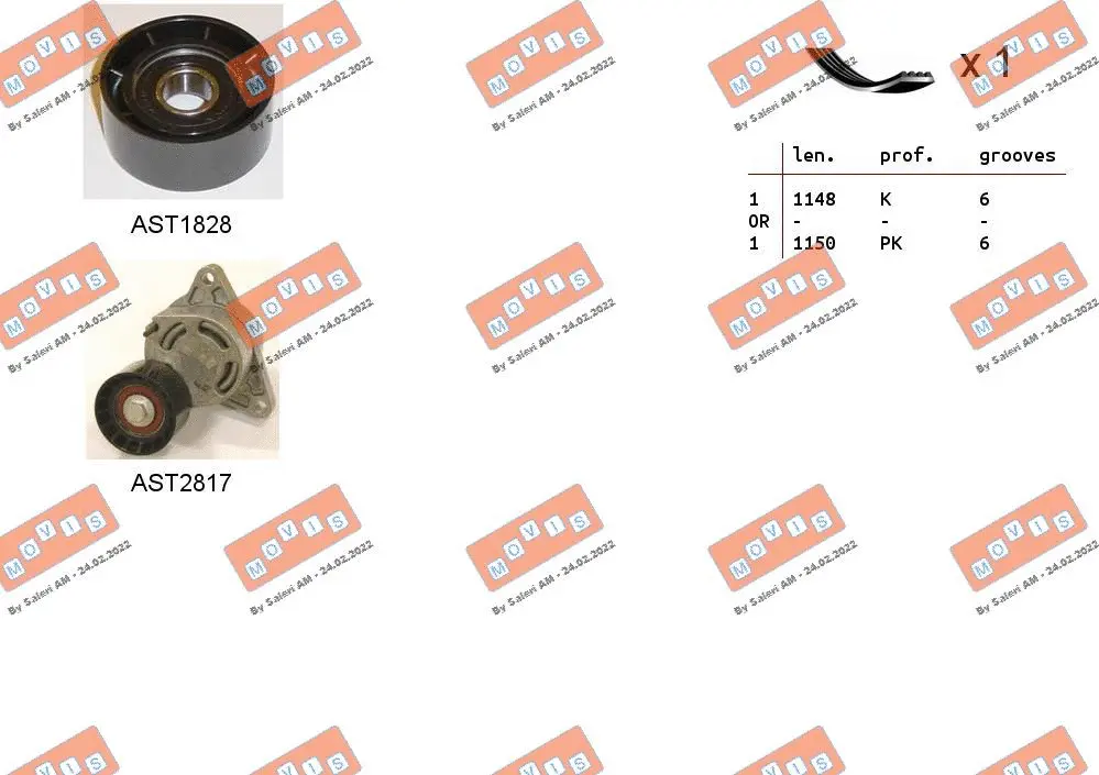 V-Ribbed Belt Set (ASTA0076)