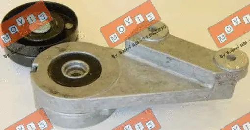 Belt Tensioner, V-ribbed belt (AST2464)