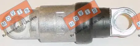 Vibration Damper, V-ribbed belt (AST1232)