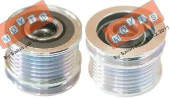 Alternator Freewheel Clutch (AST2069)