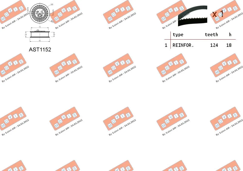 Timing Belt Kit