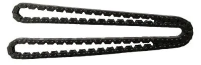 Timing Chain (C517)