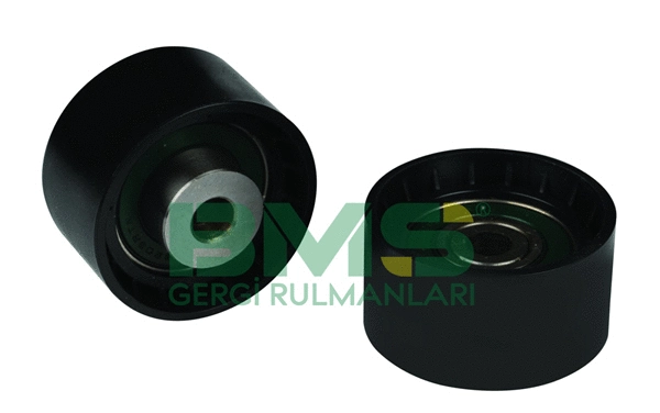 Tensioner Lever, V-ribbed belt (BMS 084)