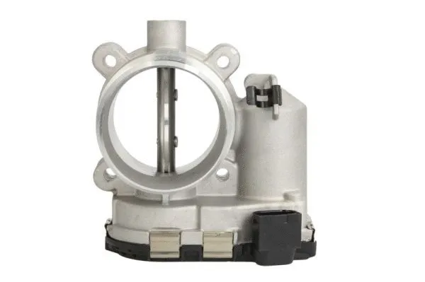 Throttle Body (ENT310048)