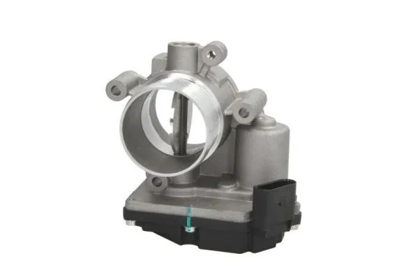Throttle Body (ENT310016)