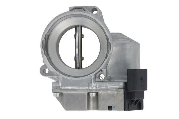 Throttle Body (ENT310013)